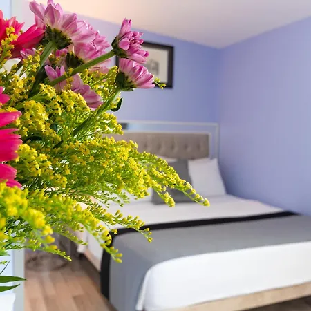 Primero 4*